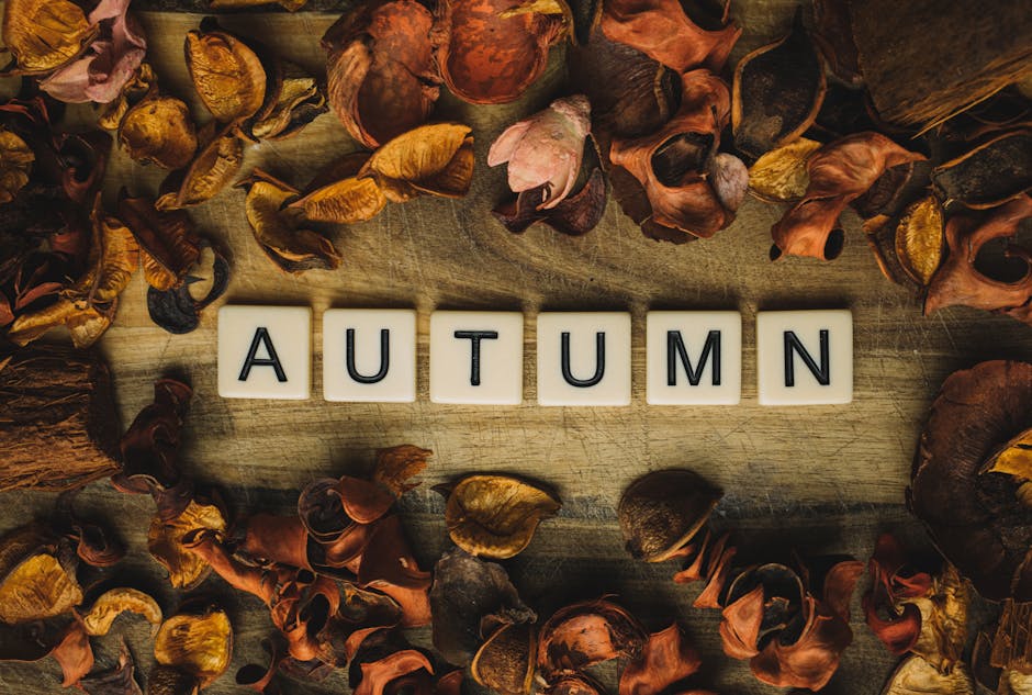 Scrabble tiles spelling 'AUTUMN' surrounded by dried leaves on a wooden background, capturing fall essence.
